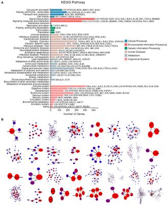 Polypharmacology-based approach for screening TCM against coinfection of Mycoplasma gallisepticum and Escherichia coli